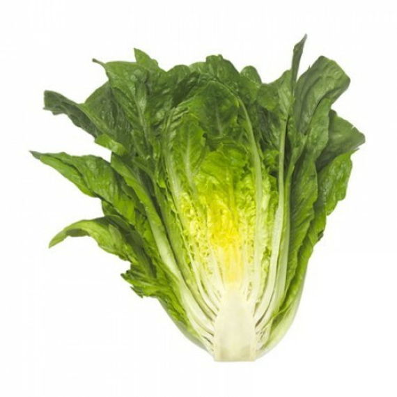 МАКСИМУС семена салата Rijk Zwaan цена – фото 3