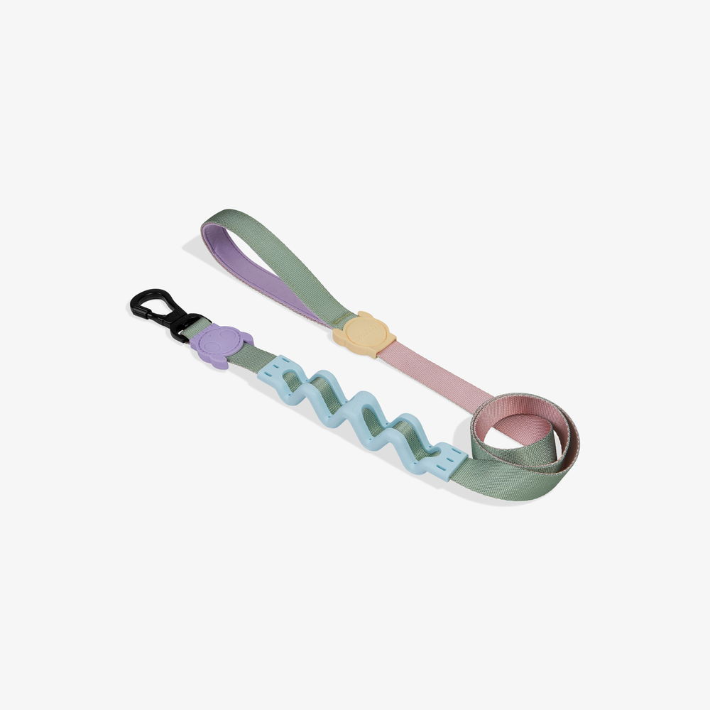 Амортизирующий поводок PEACH RUFF 120 см Zee.Dog