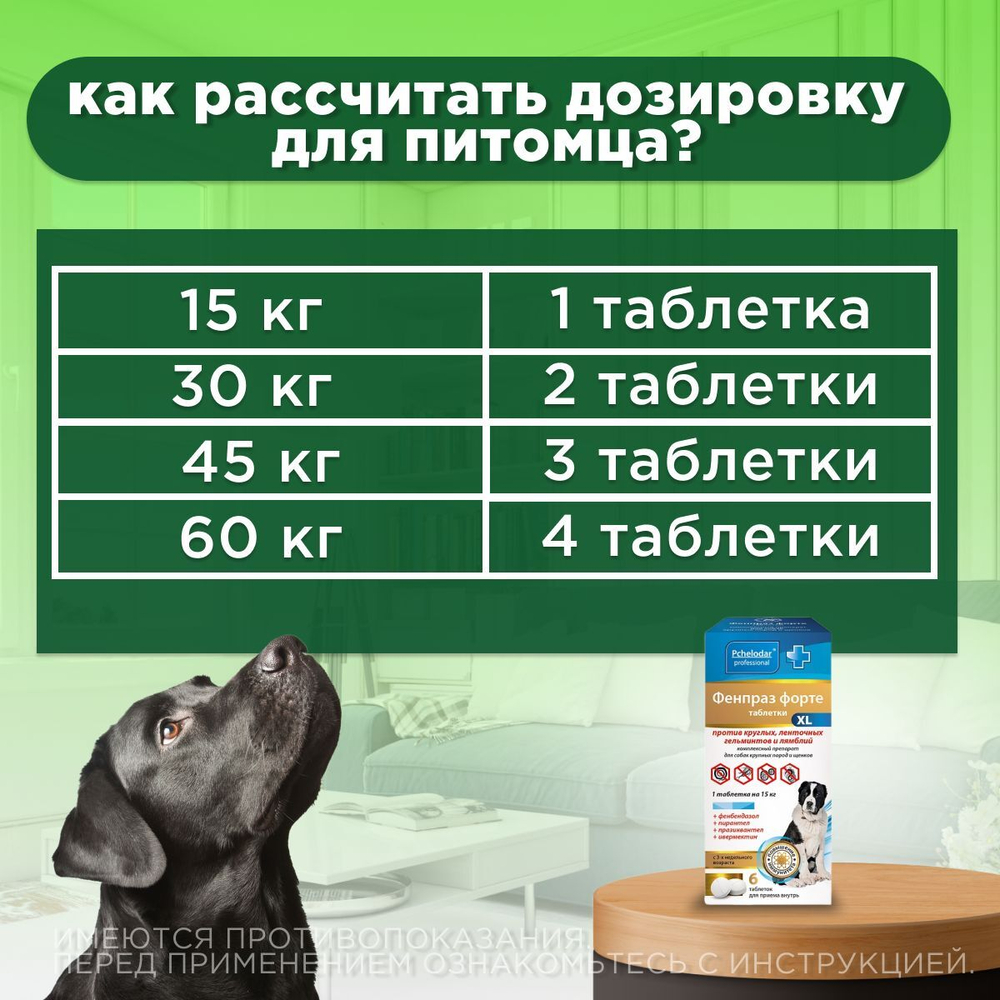 Таблетки от гельминтов и лямблий, профилактика дирофиляриоза для собак крупных пород Фенпраз Форте XL, 6 таблеток