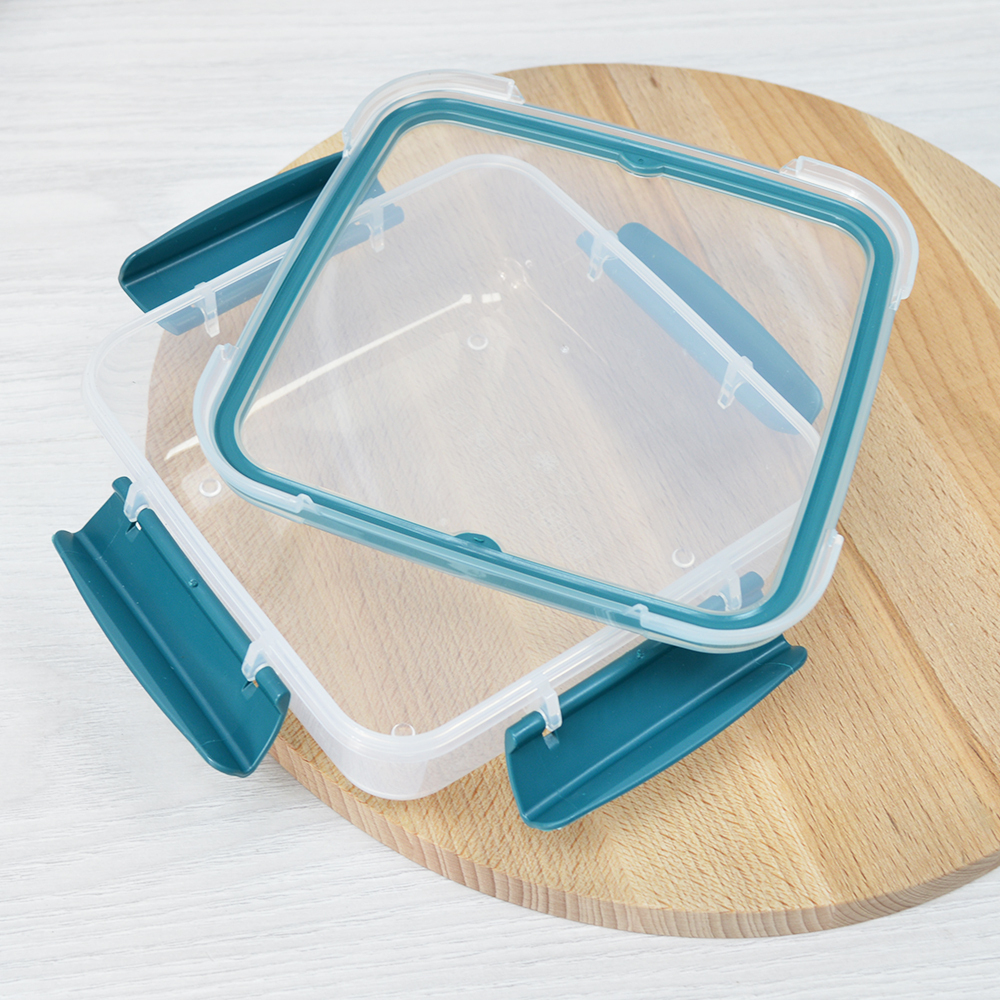 Контейнер 0,8л герметичный "Butterfly bright" (хвоя)