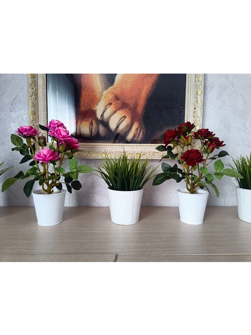 Роза кустовая бархатная, в кашпо.