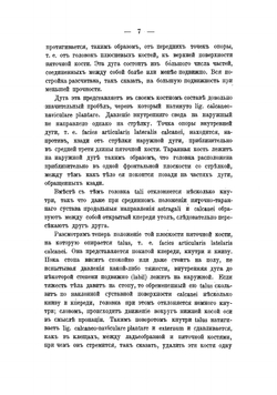 Материалы к изучению архитектуры стопы. Анатомическое исследействиях | Кадьян Александр Александрович