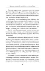 Принцип Рамзая. Записки военного разведчика