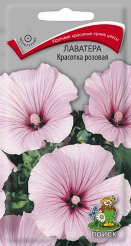 Лаватера Красотка розовая 0,3гр Поиск