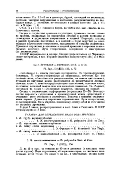 Деревья и кустарники СССР. Том 3 Покрытосеменные семейства троходондровые, розоцветные | С.Я. Соколов