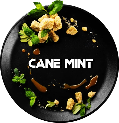 Black Burn - Cane Mint (25г)