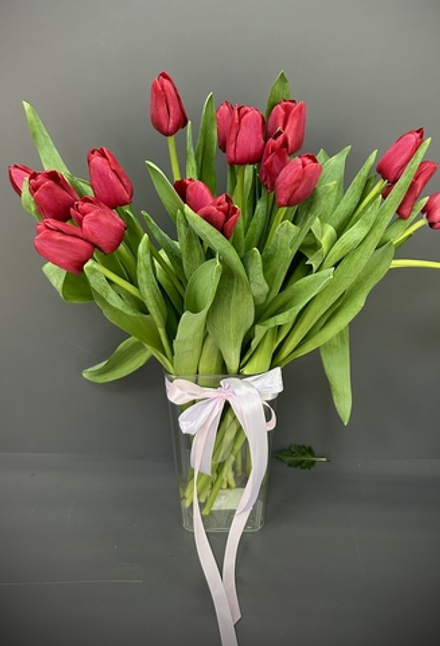 Красные тюльпаны 19, 25, 33, 51 шт