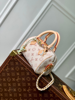 Louis Vuitton Speedy 18