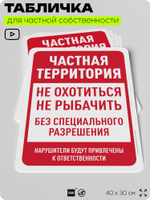 Табличка для частной территории "Частная территория", на дом, для участка, организаций, предупреждающая, 40х30 см, Silver Plane x Айдентика Технолоджи
