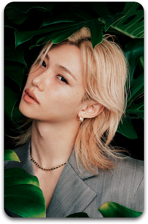 Карта / STRAY KIDS #5204