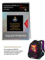 Ранец GROOC 9-147 + пенал + мешок + сумка-пенал