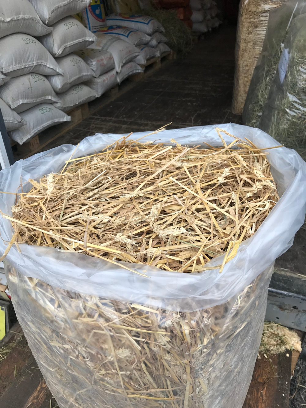 Солома пшеничная золотистая сухая 12-16 кг