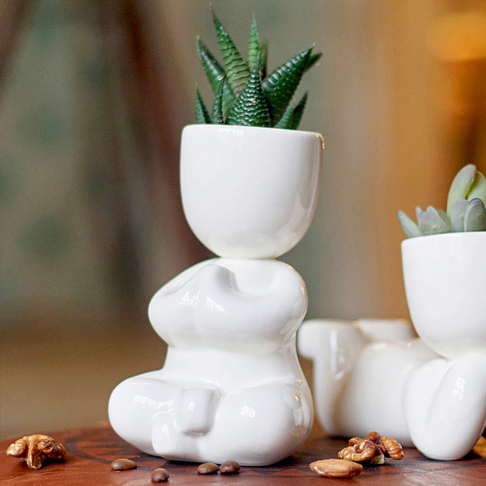 Набор для выращивания eco Йог