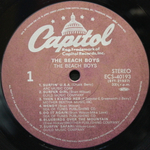 The Beach Boys / The Beach Boys (2LP)