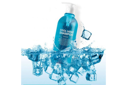 Esthetic House CP-1 Head Spa Cool Mint Shampoo охлаждающий шампунь с мятой