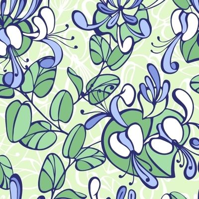 Цветущая жимолость