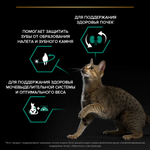 Purina Pro Plan Sterilised Сухой корм для стерилизованных кошек с индейкой, Промо 400+200 г