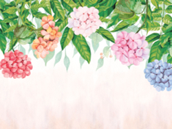 Коллекция Цветы