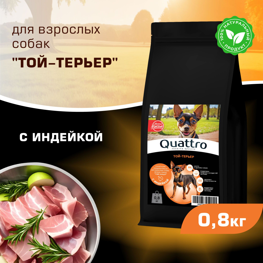 Корм сухой для взрослых собак породы Той-терьер, с индейкой, 800 гр, QUATTRO