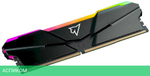 Оперативная память Netac Shadow RGB 2x8GB DDR4 PC4-25600 (NTSRD4P32DP-16E)