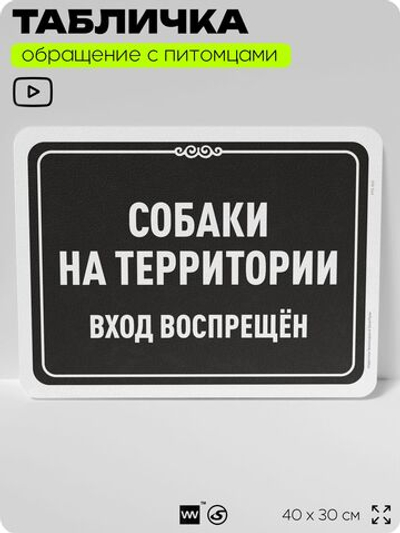 Табличка "Собаки на территории, вход воспрещен" на дверь и забор, для двора, дома, подъезда, 40х30 см, Silver Plane x Айдентика Технолоджи