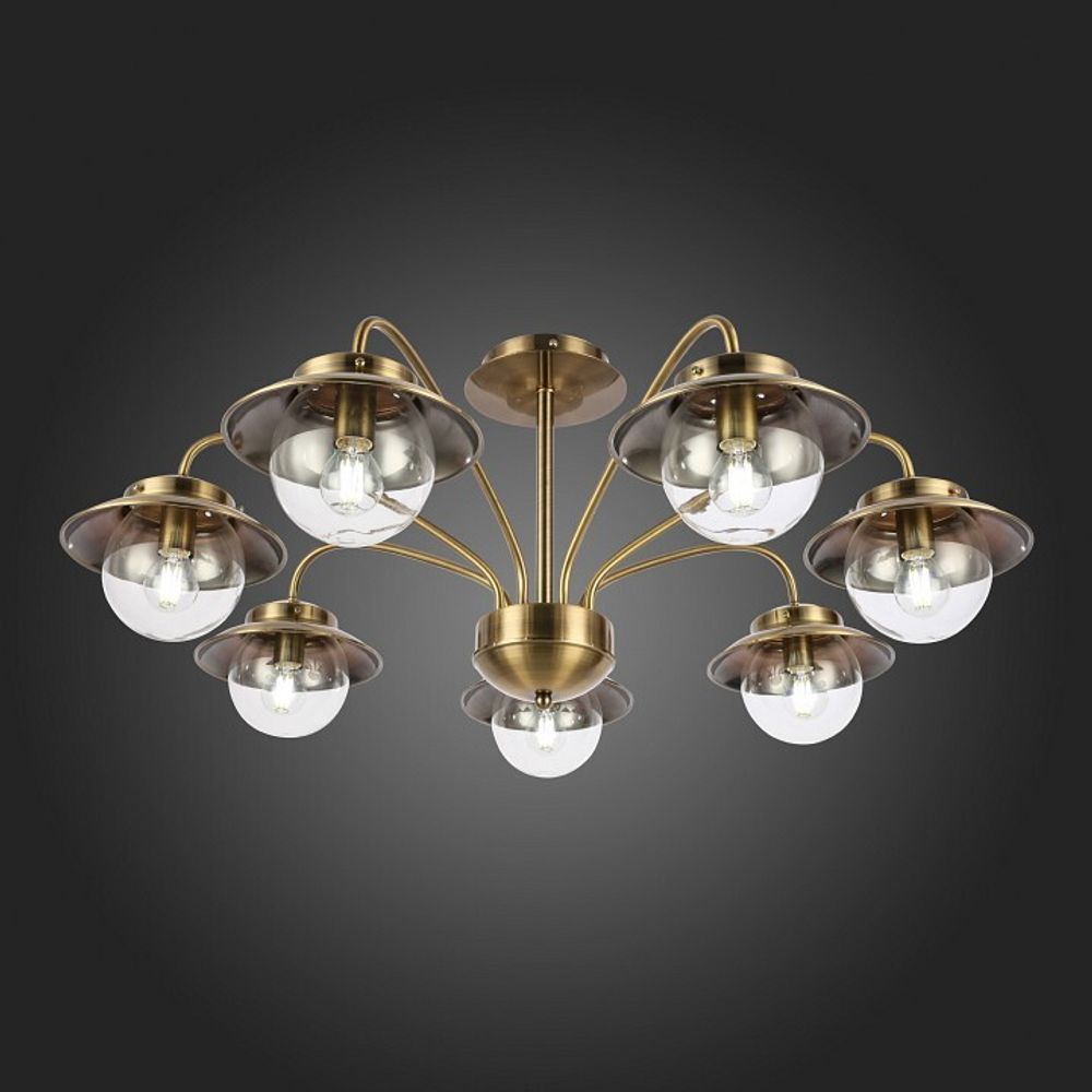 Потолочная люстра EVOLUCE Garonni SLE110102-07