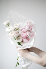 ранункулюсы купить Москва