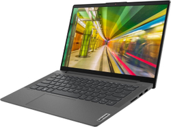 Ноутбук 14'' Lenovo IdeaPad 5 14ALC05 (82LM009XRU)
