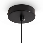 Подвесной светильник Freya FLY FR5489PL-01BG