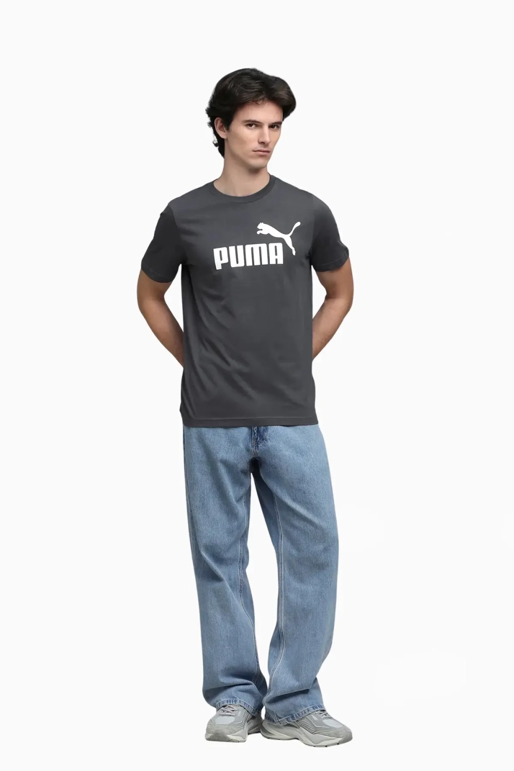 Футболка Puma Essentials Logo No.1 Logo Tee - серый
