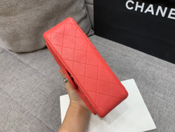 Chanel Bag 20 cm