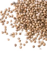 Кориандр Bharat Bazaar Coriander Seeds 100 г, 2 шт