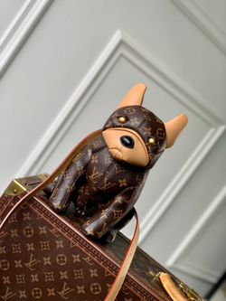 Louis Vuitton Pooch Bag