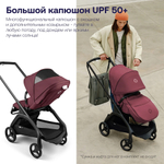 Прогулочная коляска Bugaboo Dragonfly complete Black/Dark Cherry-Dark Cherry