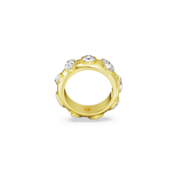 DEXTERA:RING CRY/GOS 55