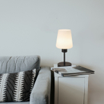 Настольный светильник 1х60Вт Е27, металл/стекло, черный/белый