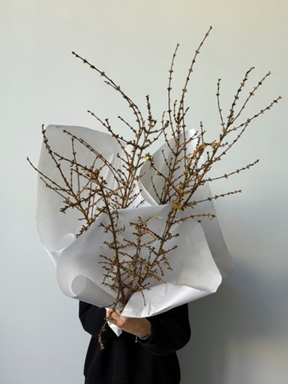 Охапка цветущие ветки форзиции 3 шт