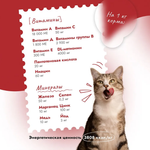 Сухой корм для кошек 10 кг Best Dinner Cat Adult Holistic, телятина с орегано