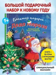 Большой подарок от Деда Мороза