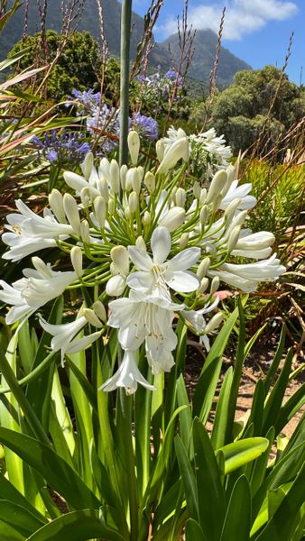 Новогодний мини-розыгрыш 3 ваучеров на сумму 5000 рублей