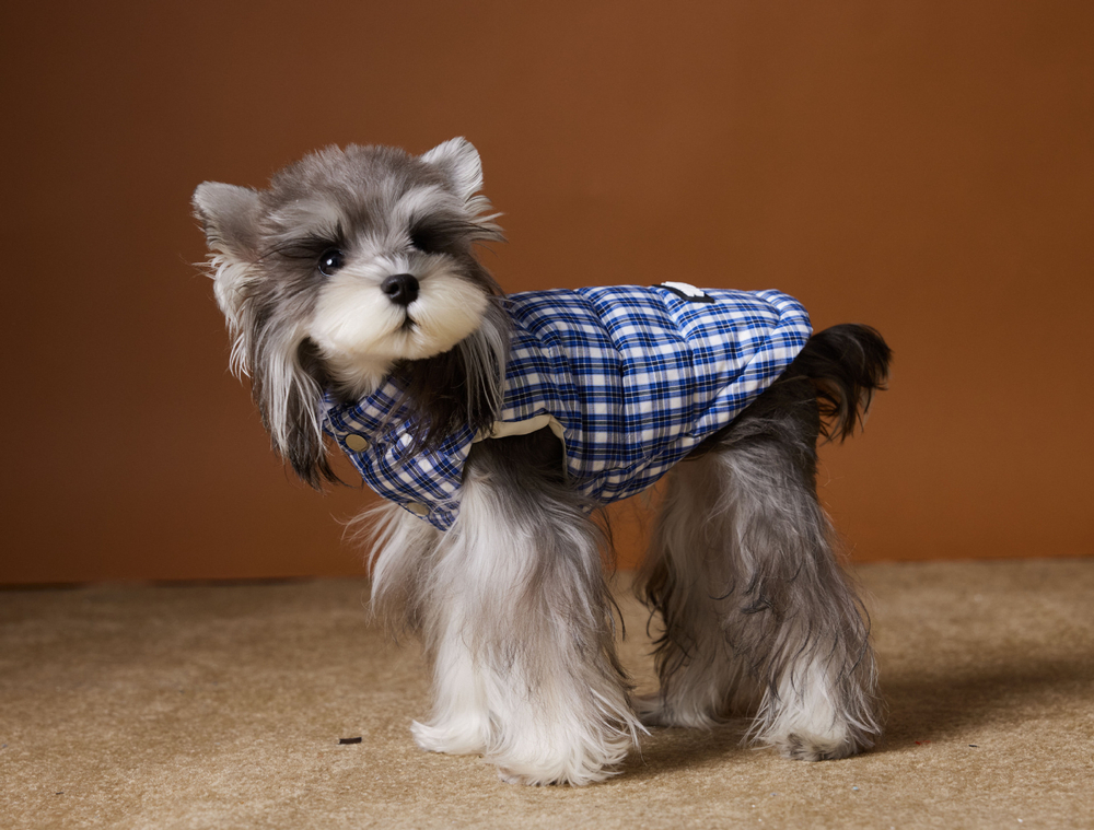 Жилетка пуховая для собак Клетка