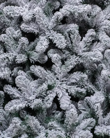 Искусственная елка Эверест заснеженная 300 см., мягкая хвоя, ЕлкиТорг (132300)