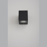 Уличный настенный светильник Crystal Lux CLT 528W1 BL