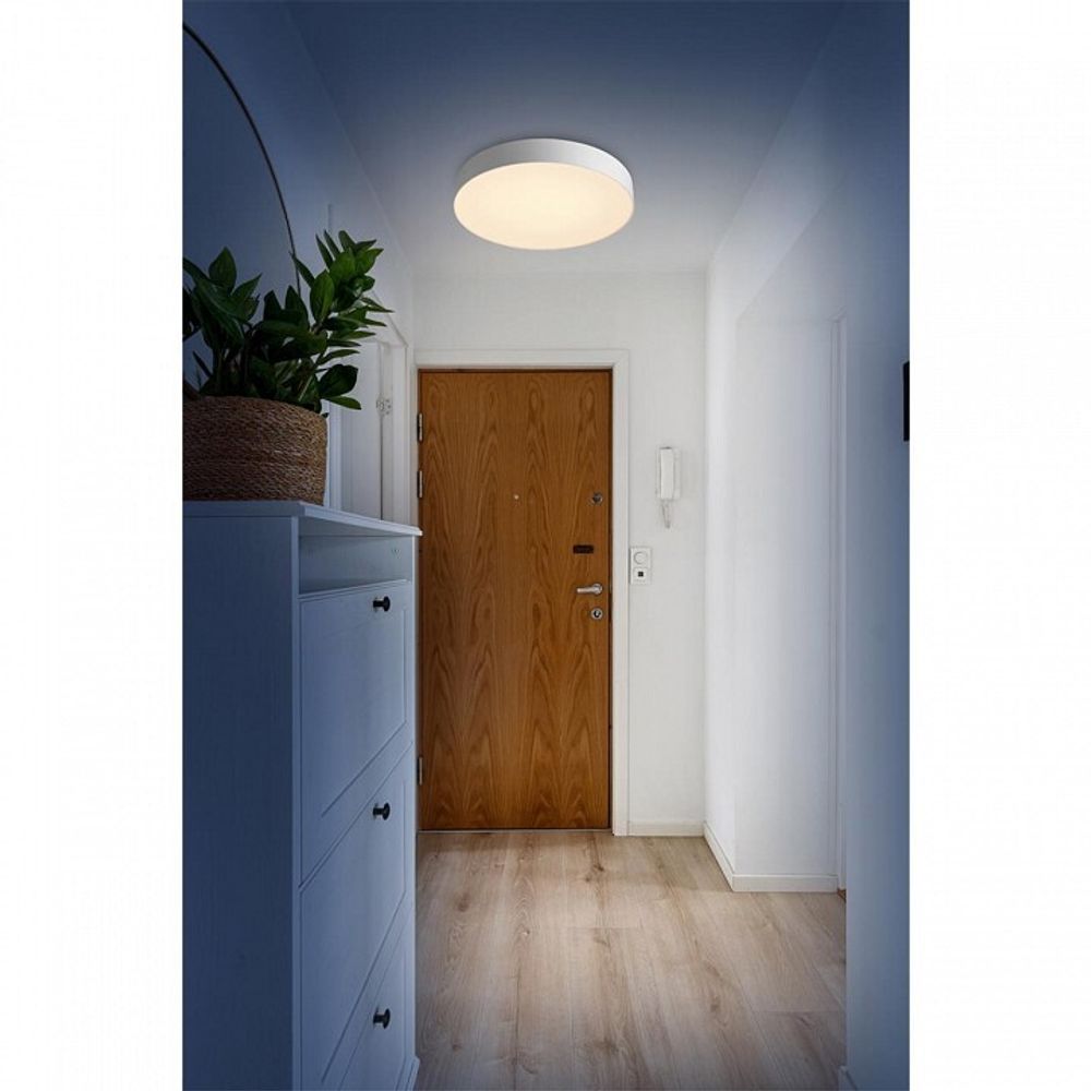 Накладной светильник Sonex Optima 7779/EL