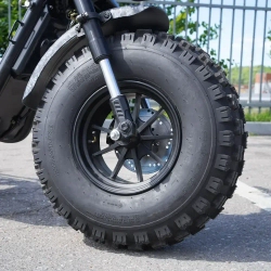 EcoMoto Lion Off-Road E1200W Back Edition