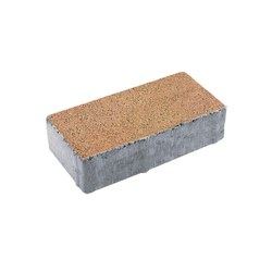 Тротуарная плитка ПРЯМОУГОЛЬНИК 200x100 мм - Листопад гранит Сахара