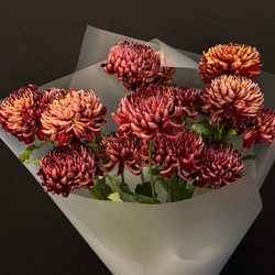 Монобукет из 13 хризантем бигуди