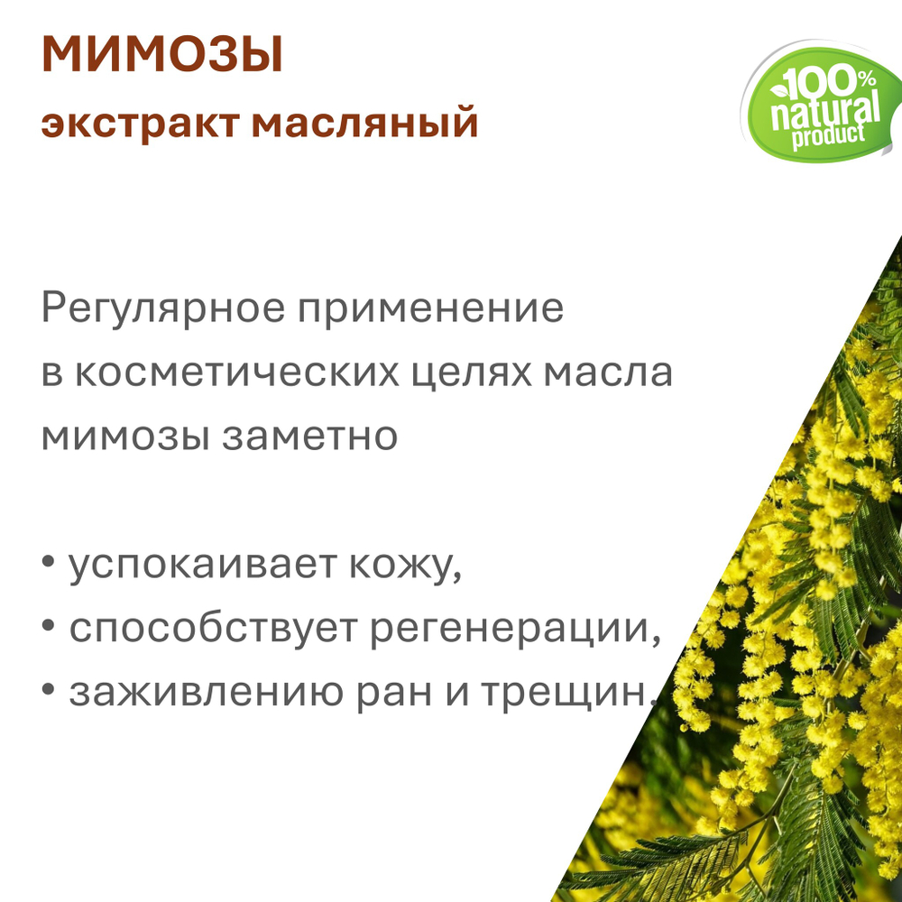 Экстракт мимозы, масляный