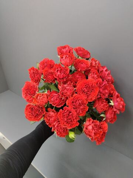 Заказ на 27.08