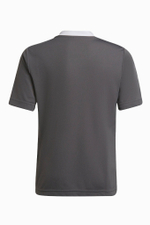 Футболка adidas Entrada 22